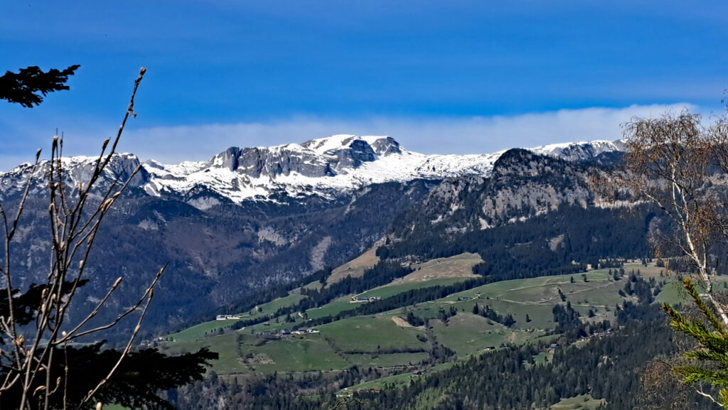 Gwöhnlistein Traweng Sturzhahn