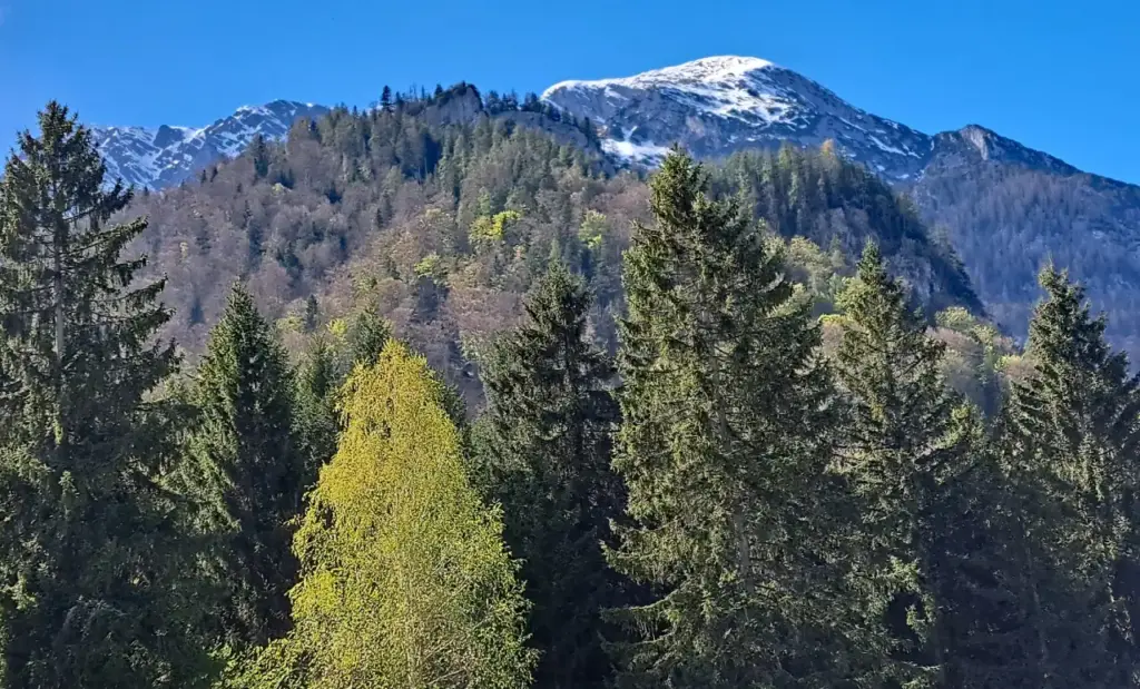 Tressenstein und Grimming