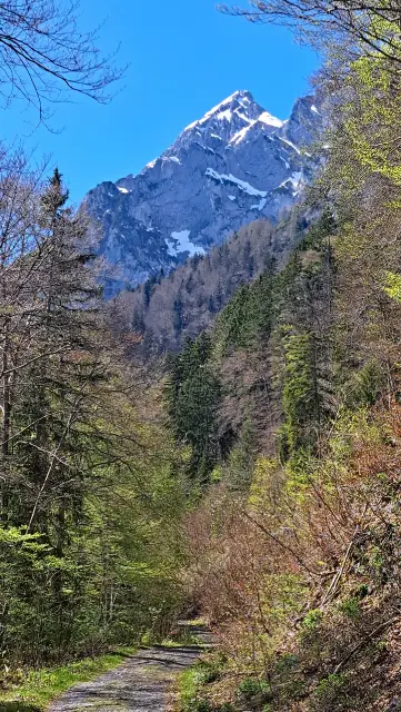 Wanderung Tressenstein