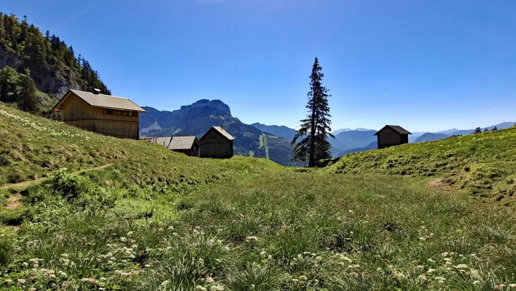Die Ausseer Sandlingalm