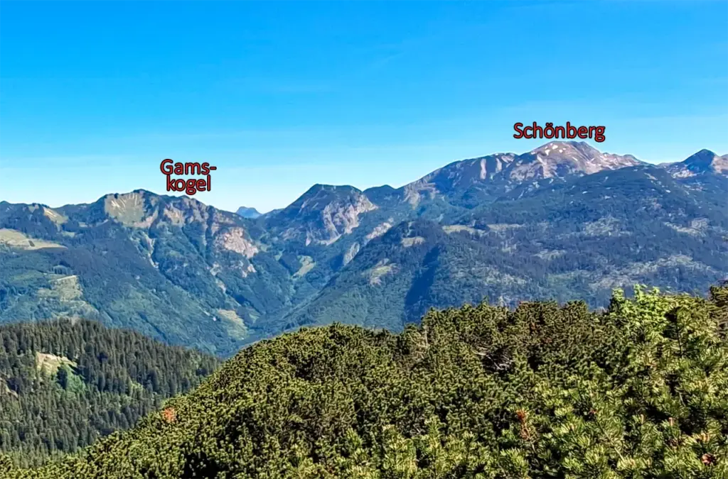Gamskogel und Schönberg (Wildenkogel)