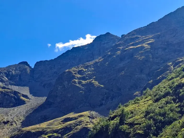 Hochwildstelle Beitragsbild