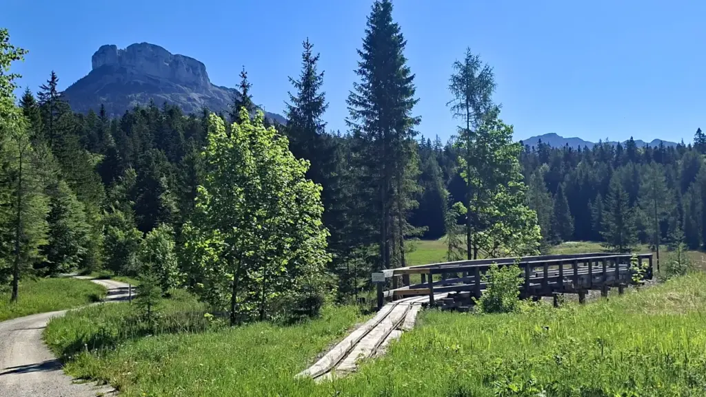 Loser Panorama