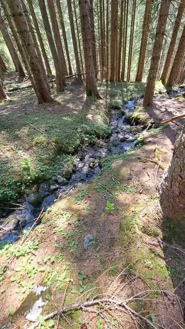 Vordere Sandlingalm Abstieg