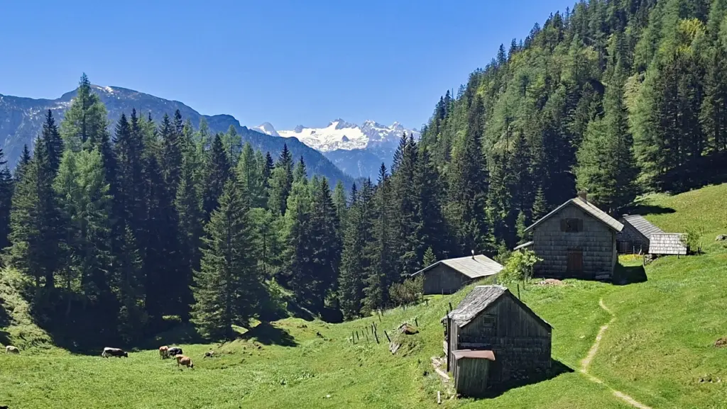 Vordere Sandlingalm